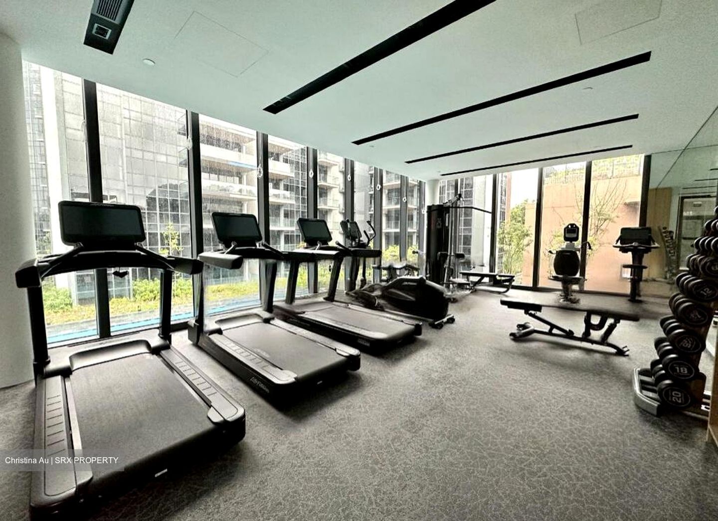 Fourth Avenue Residences (D10), Apartment #496699271